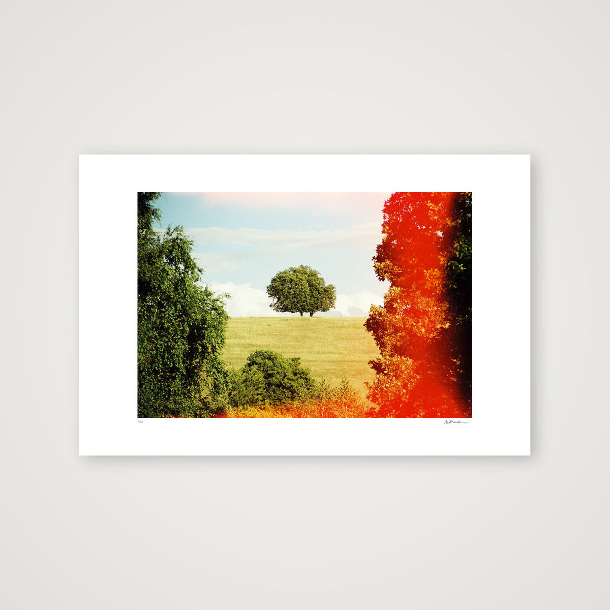 ROOT DEEP — 60×40cm, 24×16" Print only