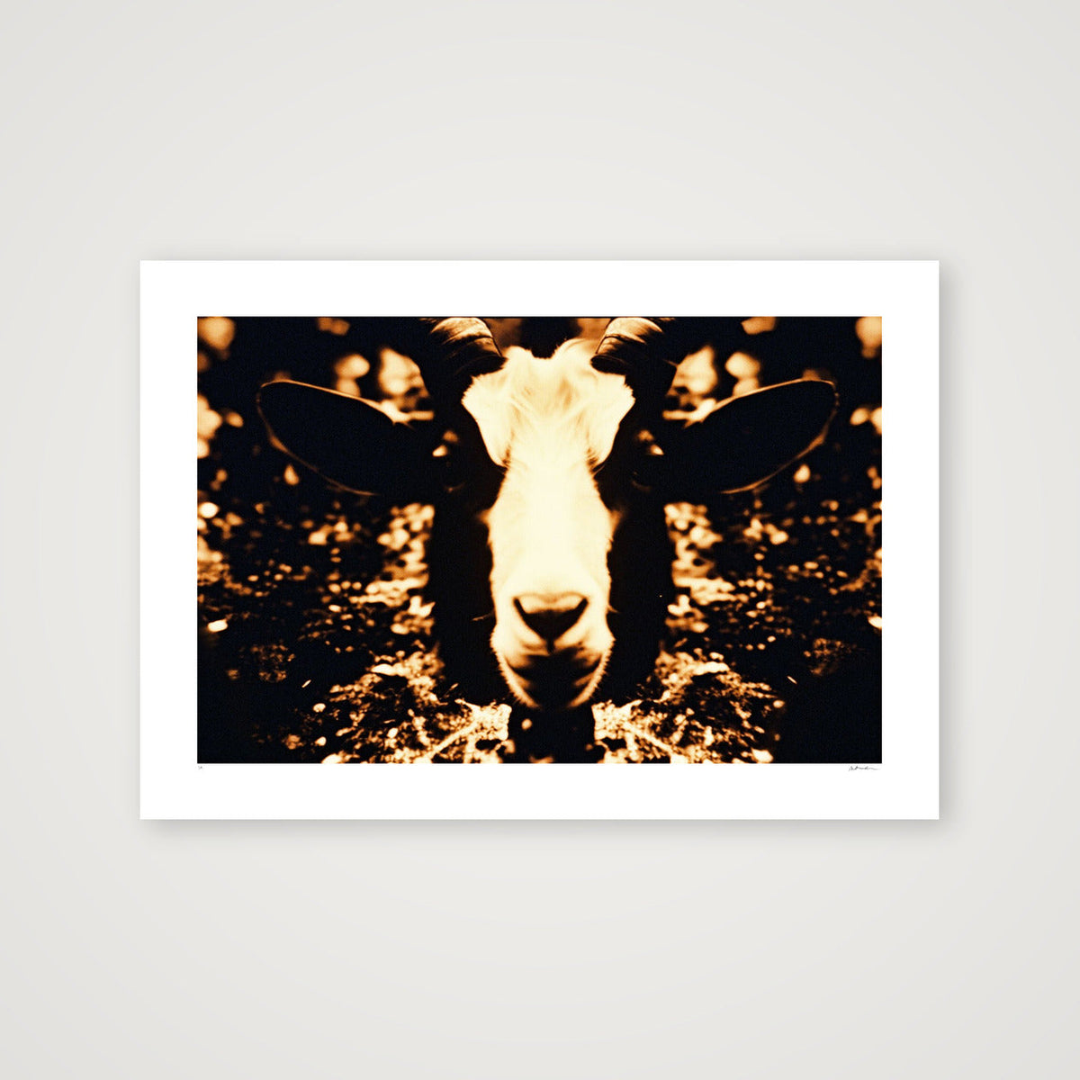 REALMS OF PRICUS — 100×70cm, 39×28" Print only