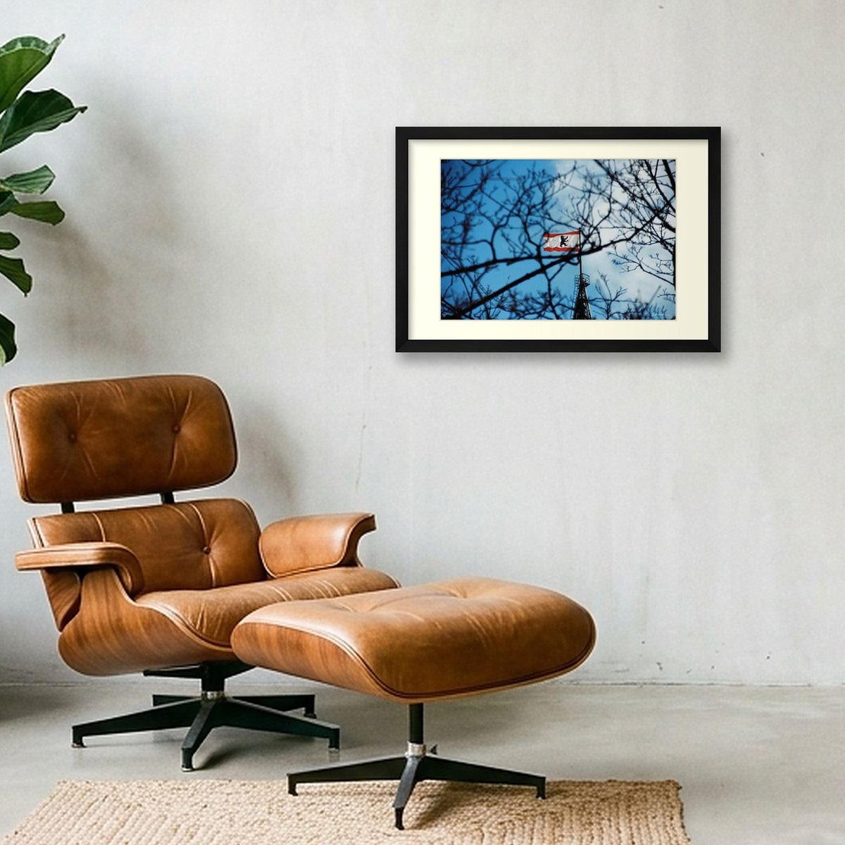SKY'S WEBS — 45×30cm, 18×12" Black Frame