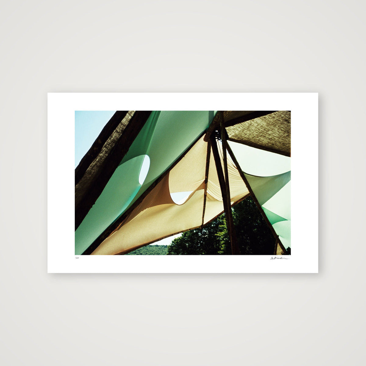 WOODREAM — 45×30cm, 18×12" Print only