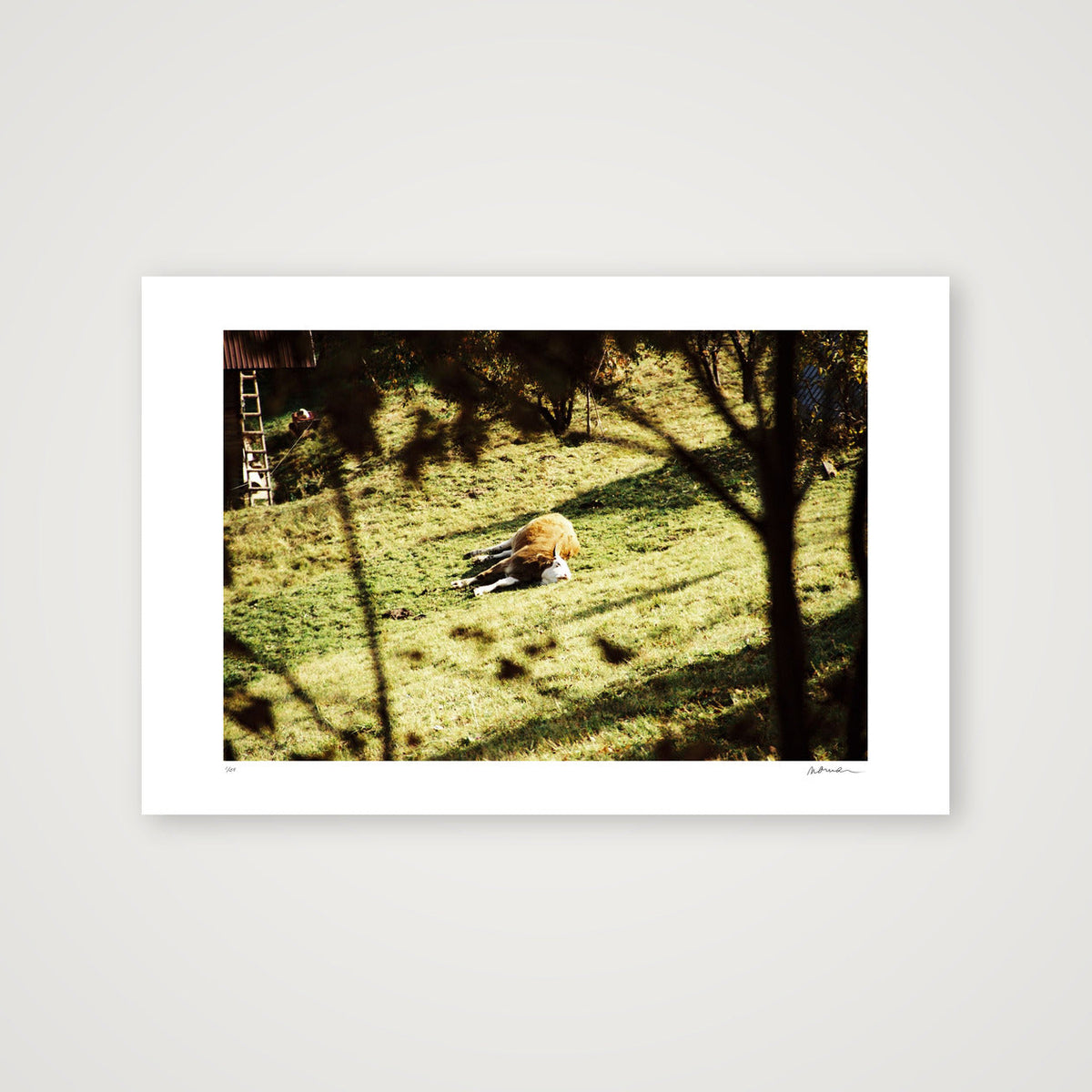 PLACE LIKE THIS — 45×30cm, 18×12" Print only