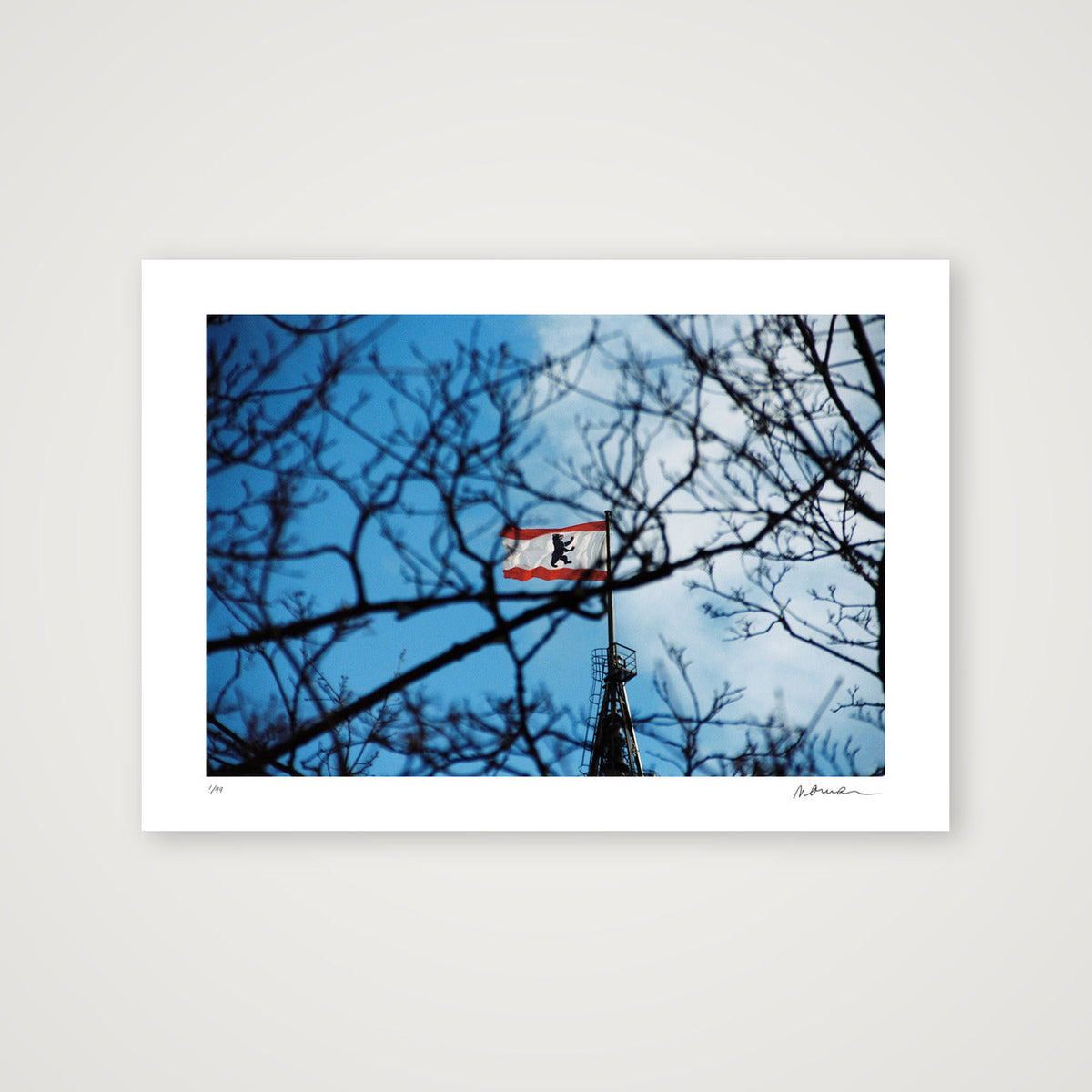 SKY'S WEBS — A4 (30×21cm, 12×8") Print only