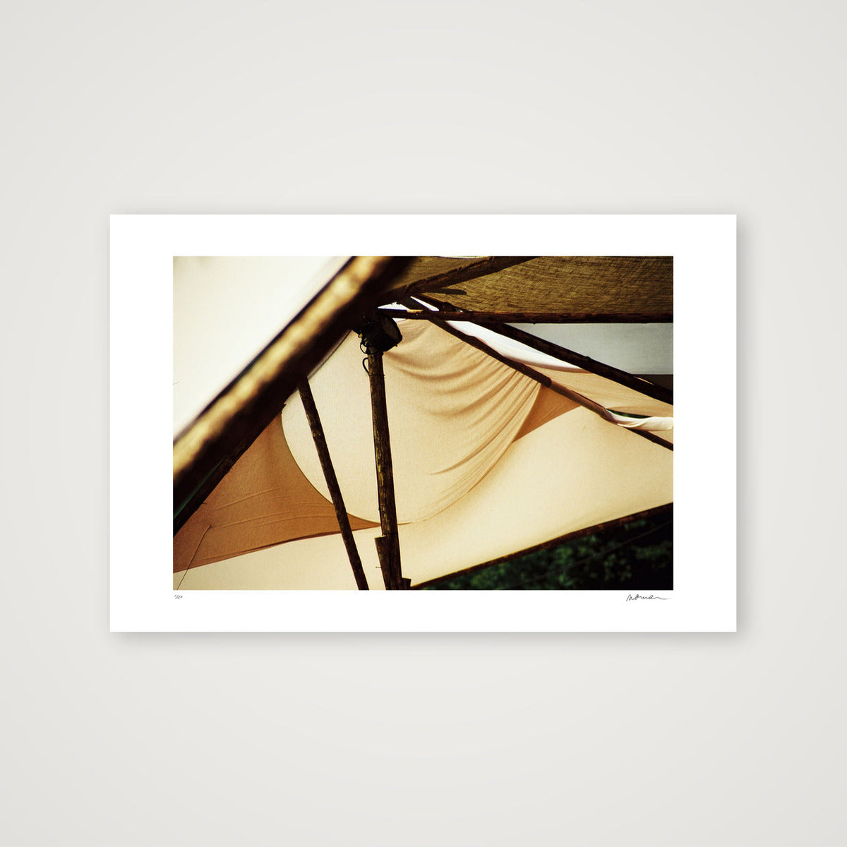 WOODREAM II — 45×30cm, 18×12" Print only