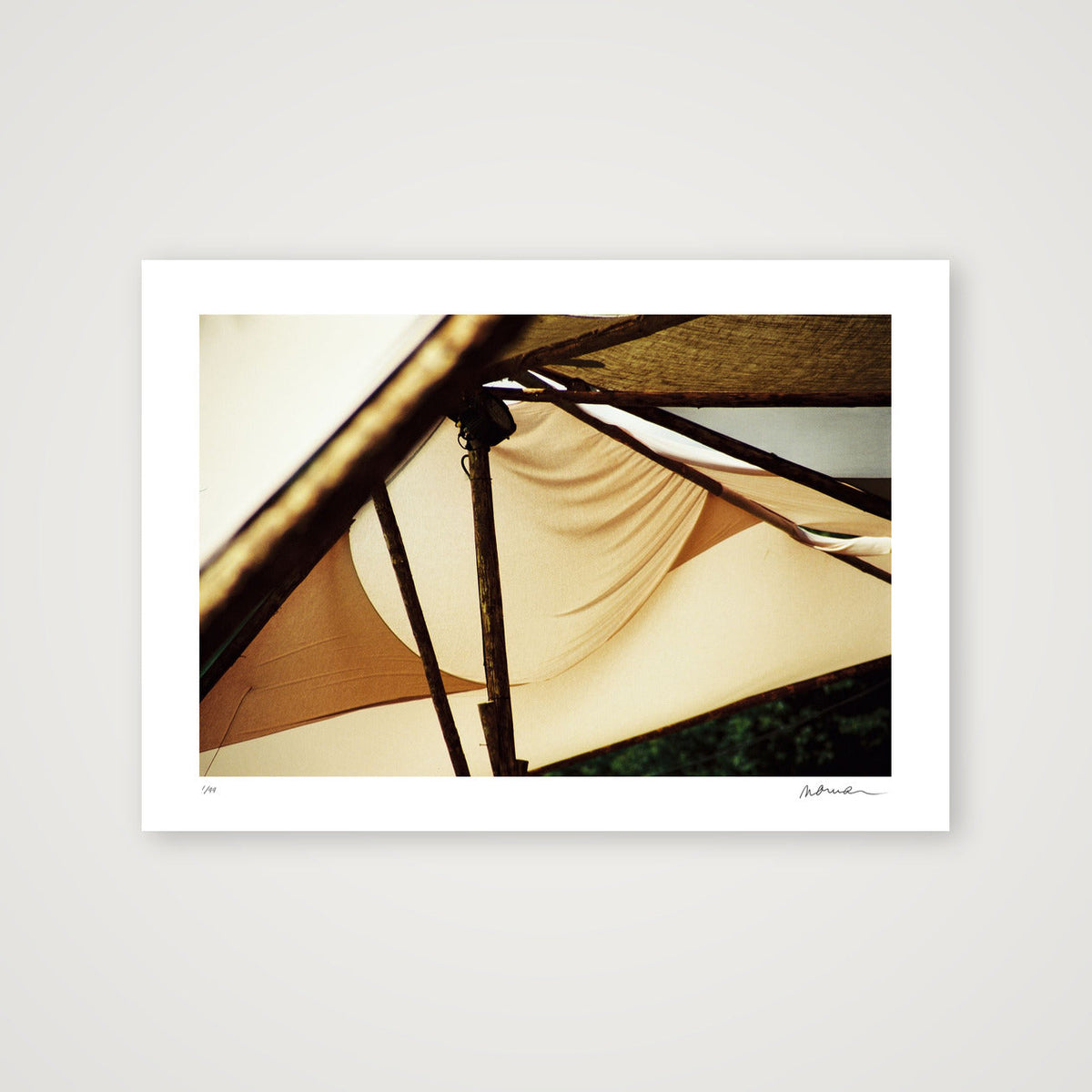 WOODREAM II — A4 (30×21cm, 12×8") Print only