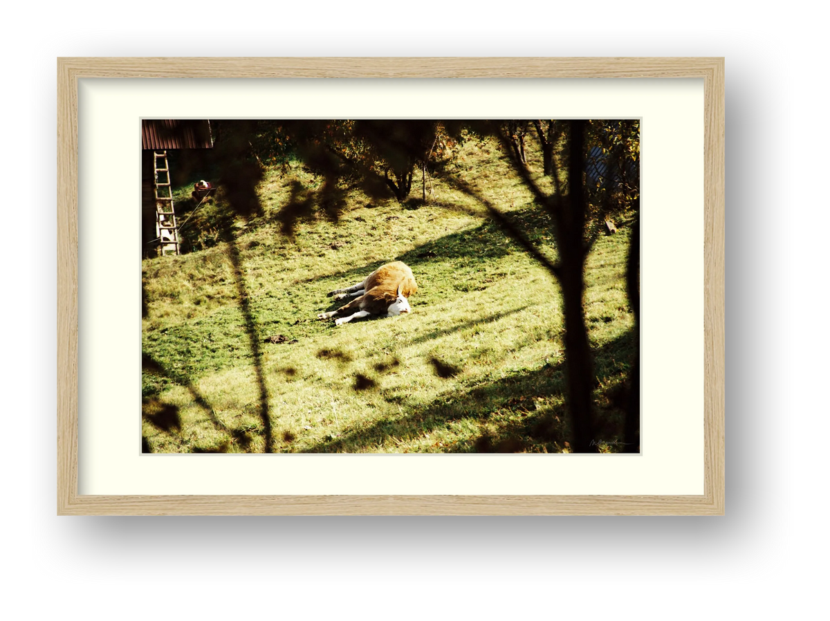 PLACE LIKE THIS — framed