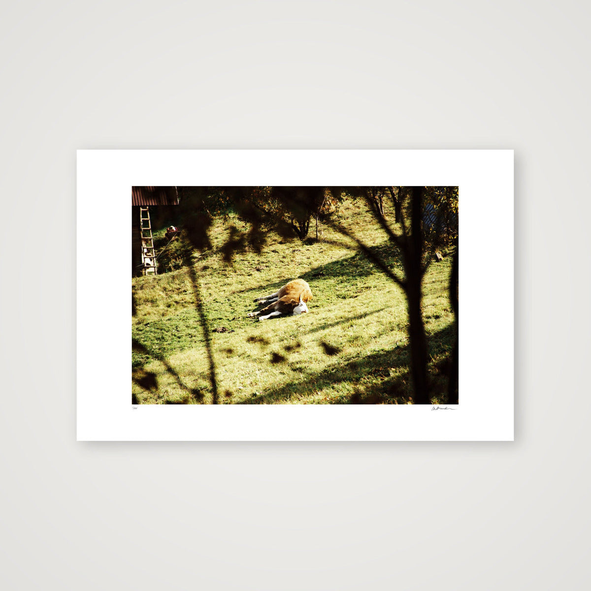 PLACE LIKE THIS — 60×40cm, 24×16" Print only