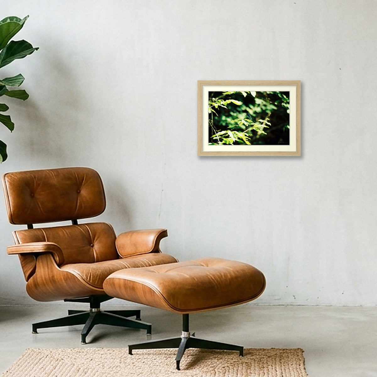 ODONATA — A4 (30×21cm, 12×8") Oak Frame