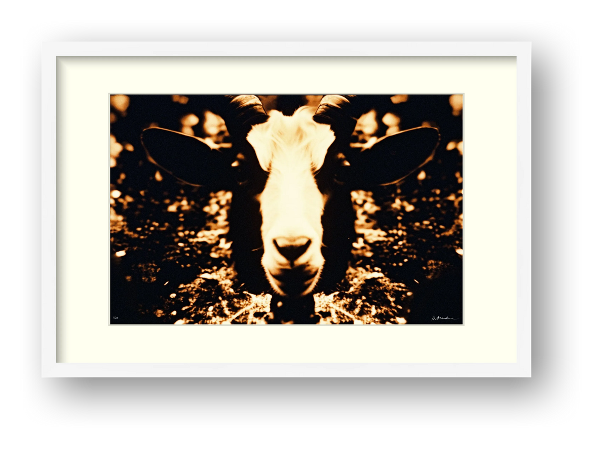 REALMS OF PRICUS — framed
