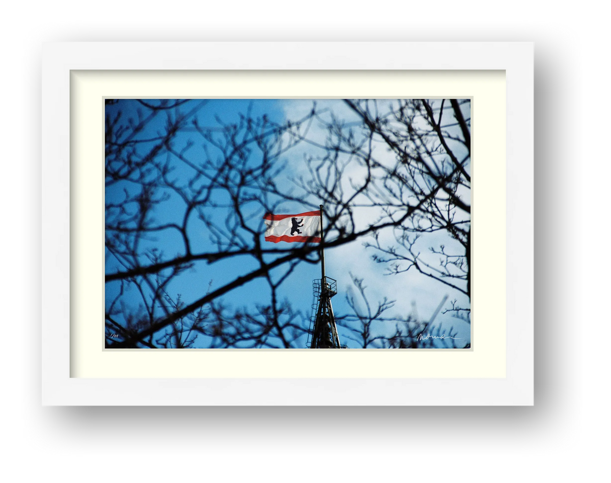 SKY'S WEBS — framed