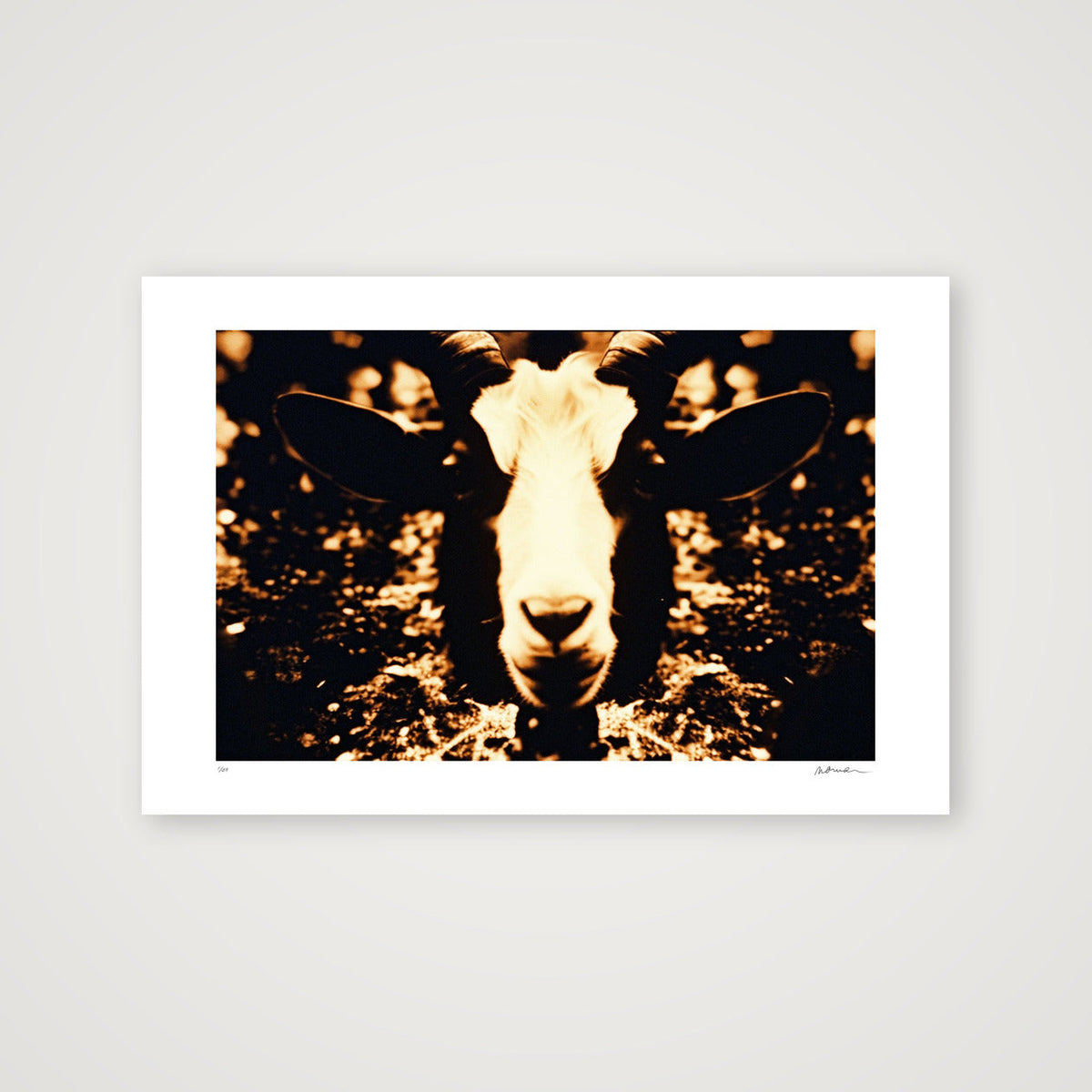 REALMS OF PRICUS — 45×30cm, 18×12" Print only