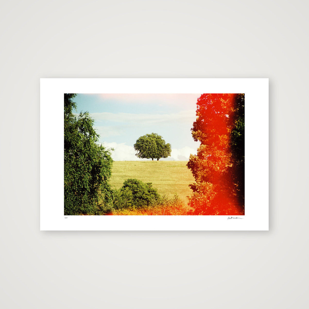 ROOT DEEP — 45×30cm, 18×12" Print only