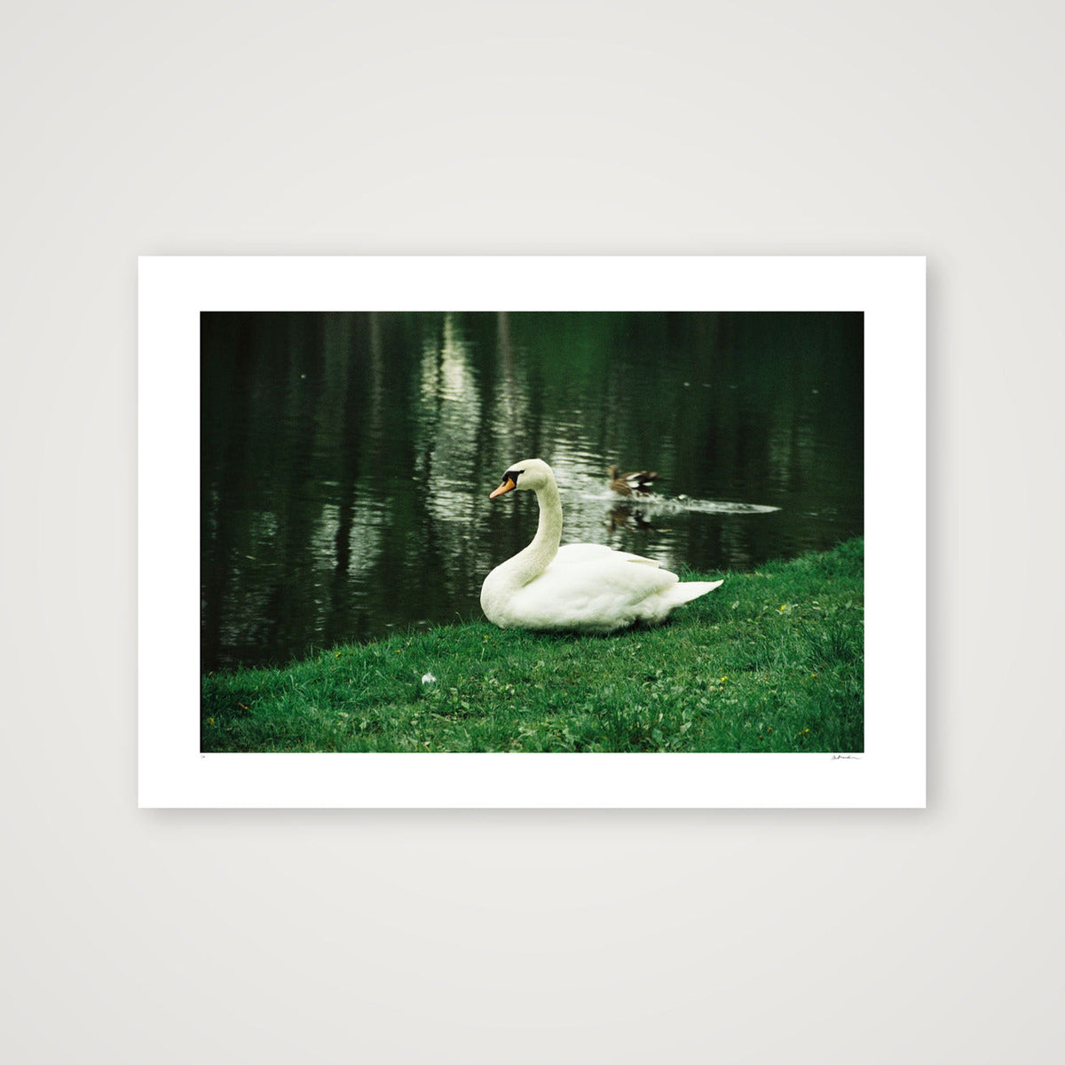 NATURE SPEAKS — 100×70cm, 39×28" Print only