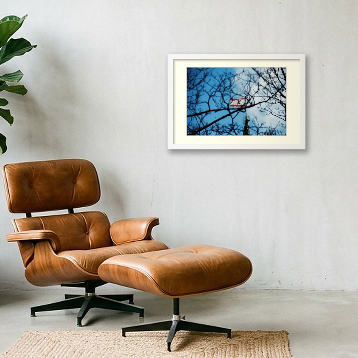SKY'S WEBS — 45×30cm, 18×12" White Frame