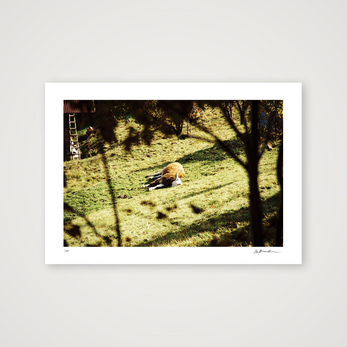 PLACE LIKE THIS — A4 (30×21cm, 12×8") Print only