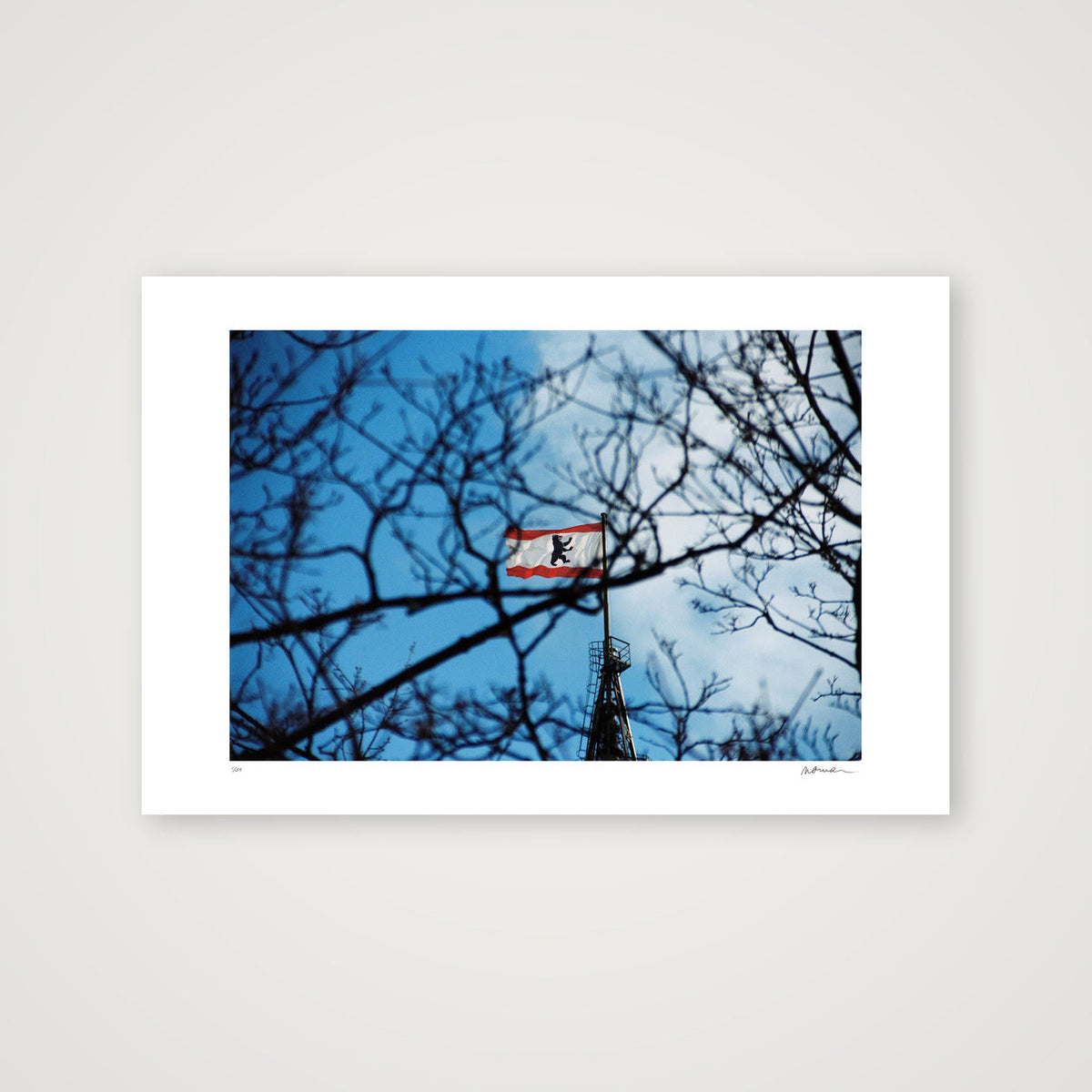 SKY'S WEBS — 45×30cm, 18×12" Print only