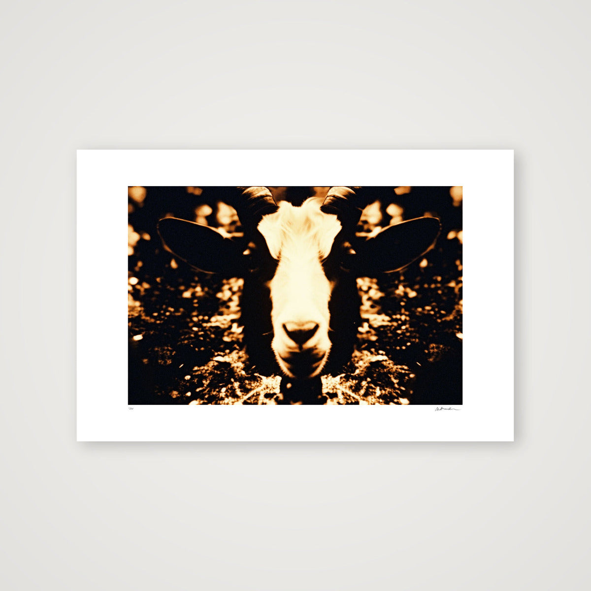 REALMS OF PRICUS — 60×40cm, 24×16" Print only