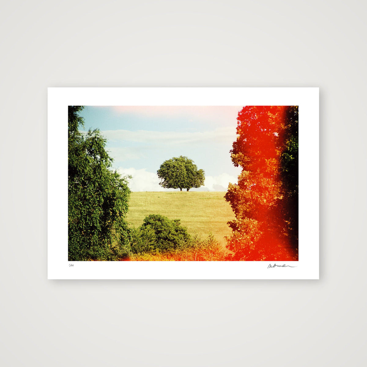 ROOT DEEP — A4 (30×21cm, 12×8") Print only