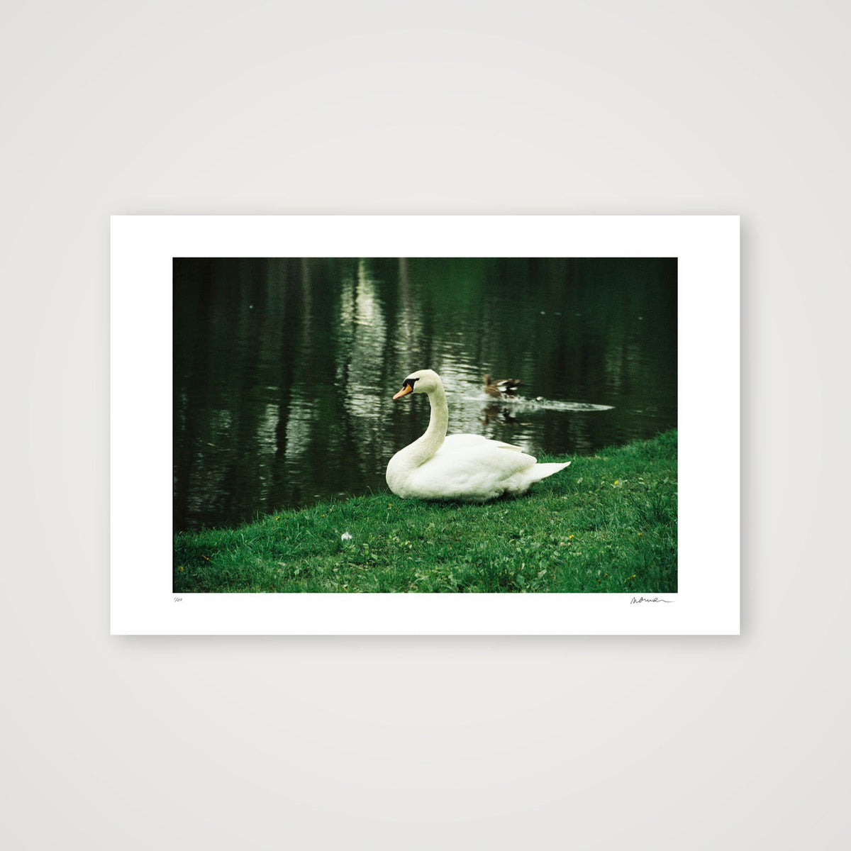 NATURE SPEAKS — 45×30cm, 18×12" Print only