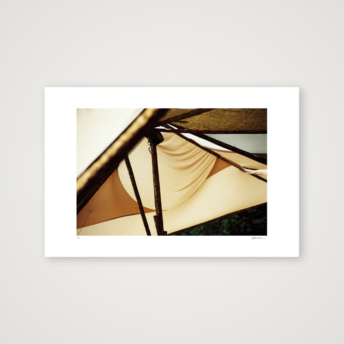 WOODREAM II — 60×40cm, 24×16" Print only