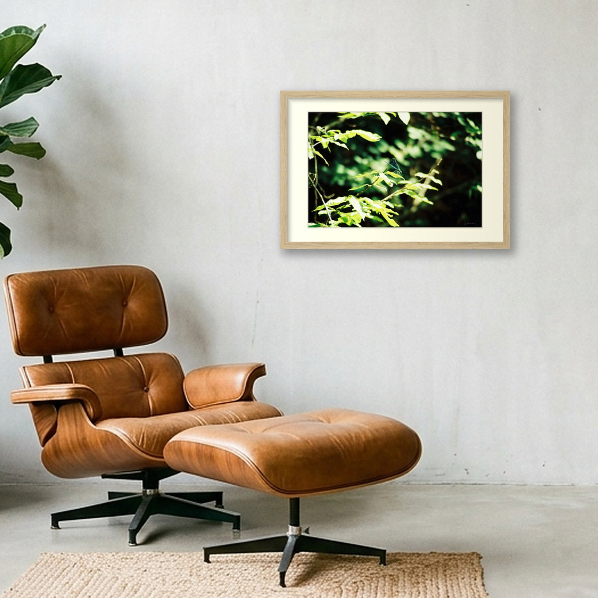 ODONATA — 45×30cm, 18×12" Oak Frame