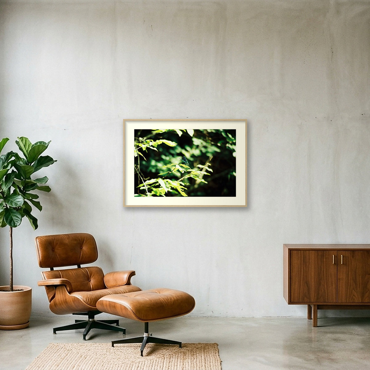 ODONATA — 100×70cm, 39×28" Oak Frame
