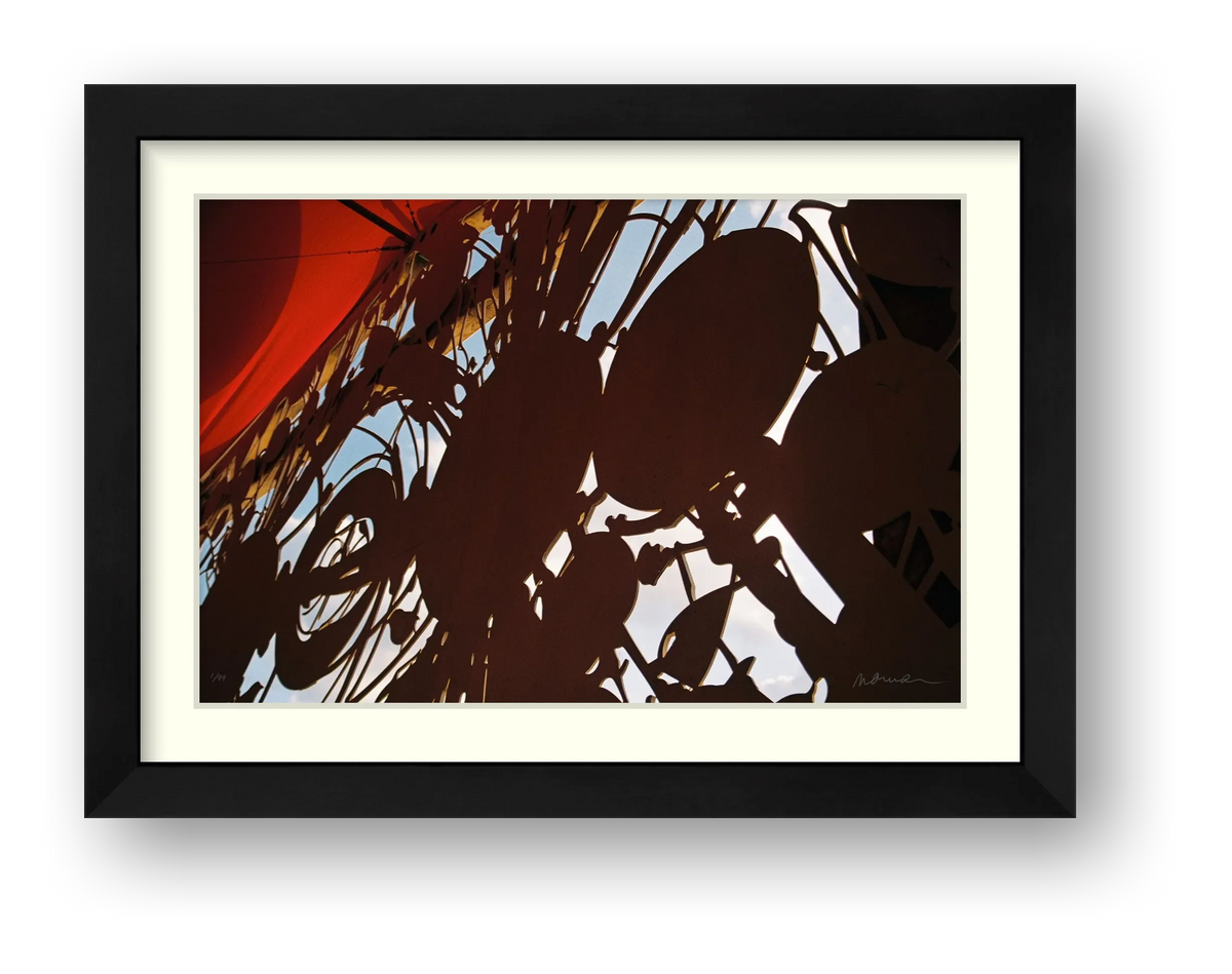 HUMAN DESIGN — framed