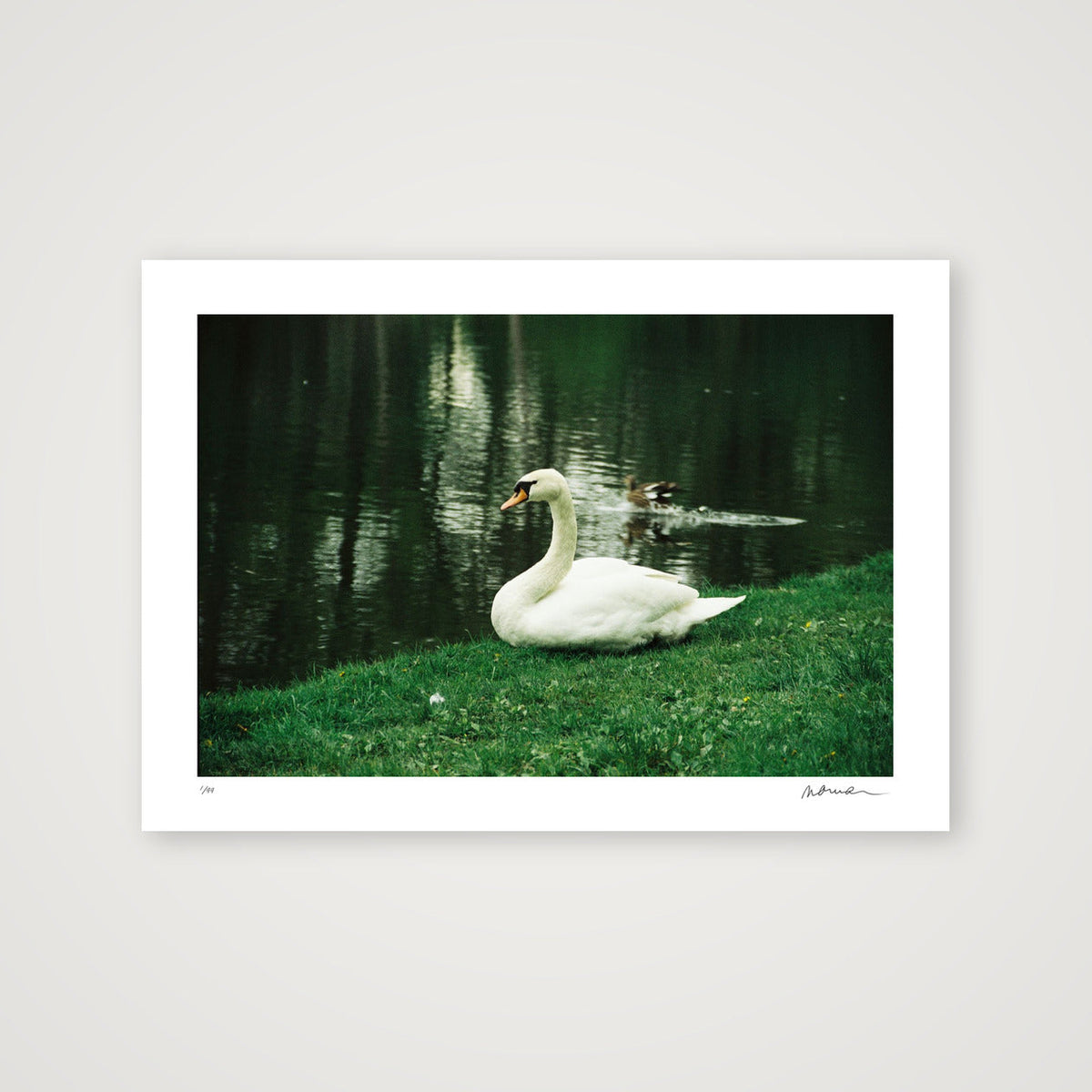NATURE SPEAKS — A4 (30×21cm, 12×8") Print only